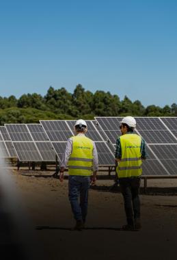Collaborateurs marchant sur une allée au milieu d'une centrale photovoltaïque